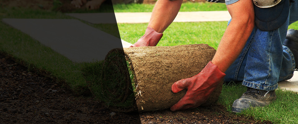 Camas Landscapers